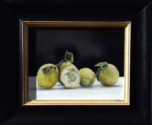 Valeno Luigi: Cedri