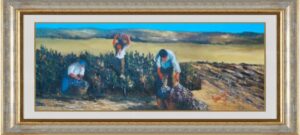 Granieri Tommaso: Vendemmia