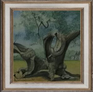 Lovino Armando: L'ulivo