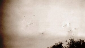 Lucera - B17s in formation -301st Bomb Group 12-08-1944 - Foto-di Albert Change