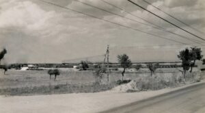 Lucera - British Motor Park 8000 vehicles 22-06-1944 - Foto di Albert Change