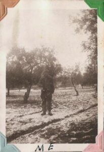 Lucera - Foto of William Boley