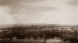 Lucera - Olive Orchards south from Camp, 06-07-1944 - Foto di Albert Change