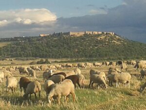 Lucera - Fortezza svevo-angioina - Foto di Massimiliano Monaco