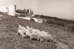 Lucera - Fortezza svevo-angioina anni 40 - Foto di Antonio Iliceto