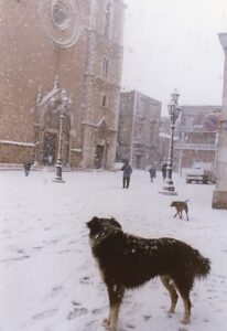 Lucera - Piazza Duomo 2007