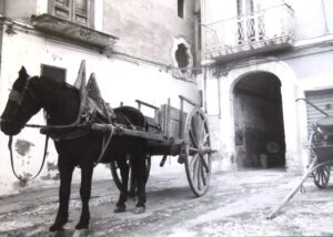 Lucera - Piazza Lecce - Foto di Massimiliano Monaco