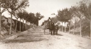 Lucera - Strada Lucera - Foggia anni 20