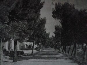 Lucera - Via Aldo Moro anni 50