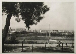 Lucera - Viale Ferrovia - Foto di Giuseppe Di Iorio