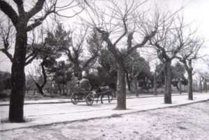 Lucera - Viale castello 1973
