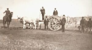 Lucera - Campagne lucerine - Primi 900