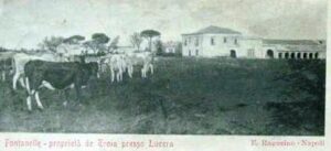 Lucera - Campagne lucerine - Fontanelle primi 900