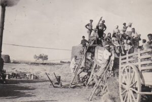 Lucera - Campagne lucerine - Trebbiatura F.lli Romice anni 30 - Foto di Anna Romice