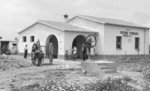 Lucera - Campagne lucerine - Podere della riforma fondiaria 1950 - Foto di Antonio Iliceto