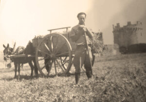 Lucera - Campagne lucerine - Agricoltore