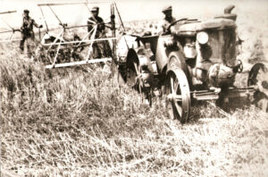 Lucera - Campagne lucerine - Anni 30