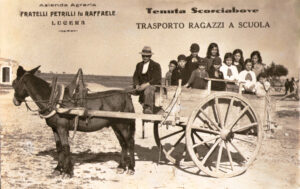 Lucera - Campagne lucerine - Azienda agraria F.lli Petrilli anni 40