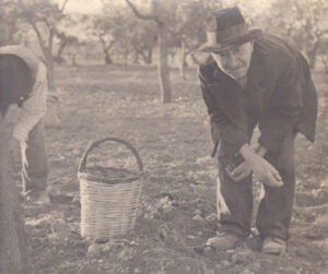 Barisciani Vincenzo (nonno di Anna Maria Lepore e Orazio)