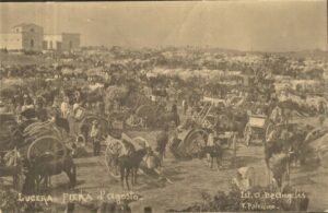 Lucera - Campagne lucerine - Fiera di Agosto 1907 - Foto di Antonio Iliceto