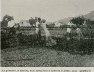 Lucera - Campagne lucerine - Gli orti di Lucera dal libro di Francesco TROTTA - 1934 - Foto di Antonio Iliceto