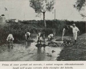 Lucera - Campagne lucerine - Gli orti di Lucera dal libro di Francesco TROTTA - 1934 - Foto di Antonio Iliceto