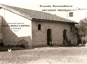 Lucera - Campagne lucerine - Azienda agraria F.lli Petrilli