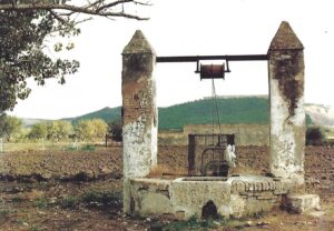 Lucera - Masserie - Masseria Belluccci - Il pozzo - Foto di Peppino Tedeschi