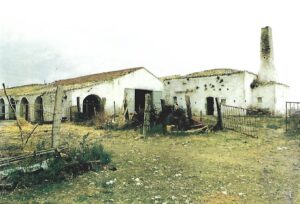 Lucera - Masserie - Masseria Pavoni - S. Giusto - Stalla - Foto di Peppino Tedeschi