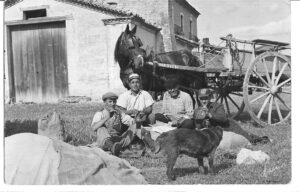 Lucera - Campagne lucerine - Sosta lavoro 1962 - il cavallo "Ciampetille" , Michele D'Amato, Ettore Mores e Giuseppe Rotunno (maste Pèppe) - Foto di Pietro D'Amato