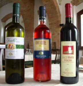 Lucera - Cantina cooperativa - Vini tipici