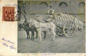 Lucera - Campagne lucerine - Carrettiere 1902 - Foto di Antonio Iliceto