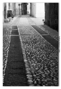 Lucera - Battista Raffaele - Via Zunica 2008