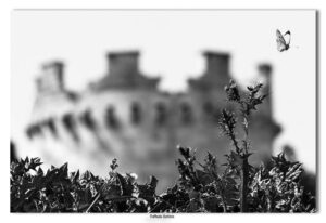 Lucera - Battista Raffaele - Castello svevo-angioino 2009