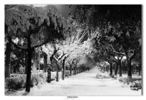 Lucera - Battista Raffaele - Villa comunale innevata 2012