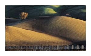 Battista Raffaele - 2017