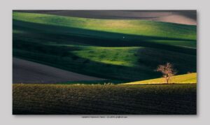 Calabria Francesco Paolo - Gli ultimi graffi di luce