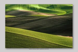 Calabria Francesco Paolo - Il godimento dell'animo