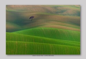 Calabria Francesco Paolo - La delizia della natura