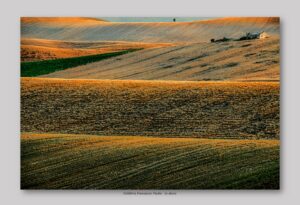 Calabria Francesco Paolo - Le dune