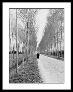 Cavalli Emanuele - Firenze 1952-1953