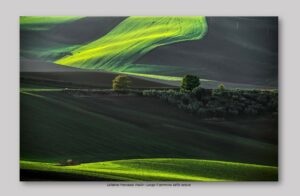 Calabria Francesco Paolo - Lungo il cammino della natura