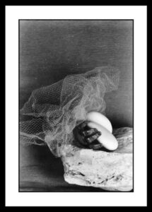 Cavalli Emanuele - Firenze 1955-1956