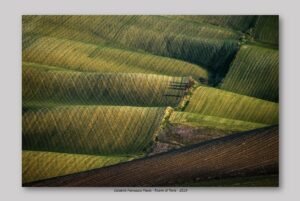 Calabria Francesco Paolo - Ricami di Terra 2019
