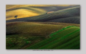 Calabria Francesco Paolo - Alberello Solitario 2019