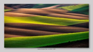 Calabria Francesco Paolo - Le striature 2019