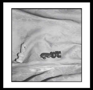 Cavalli Giuseppe