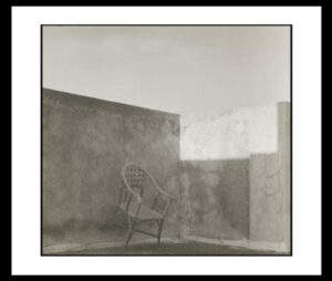 Cavalli Giuseppe - Una serra 1943