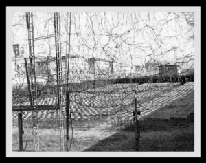 Cavalli Emanuele - Cinema La Lucciola - Firenze 1950-1959