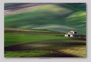 Calabria Francesco Paolo